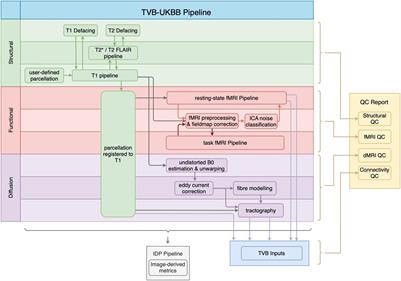 A Robust Modular Automated Neuroimaging Pipeline for Model Inputs to TheVirtualBrain